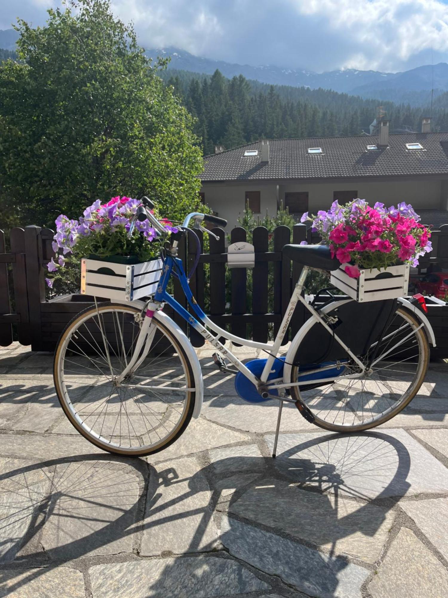 Hotel Alle Tre Baite Santa Caterina Valfurva Luaran gambar